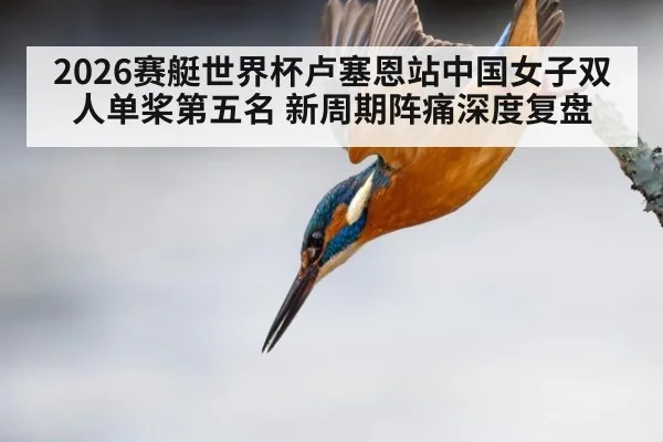 2026赛艇世界杯卢塞恩站中国女子双人单桨第五名 新周期阵痛深度复盘
